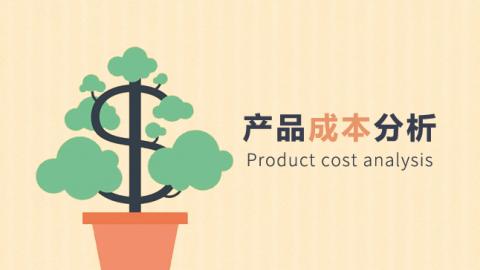 产品成本分析 